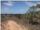 503 Caddy Road, Loveday SA 5345