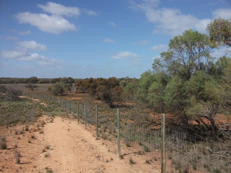 503 Caddy Road, Loveday SA 5345