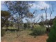 503 Caddy Road, Loveday SA 5345