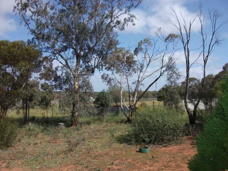 503 Caddy Road, Loveday SA 5345