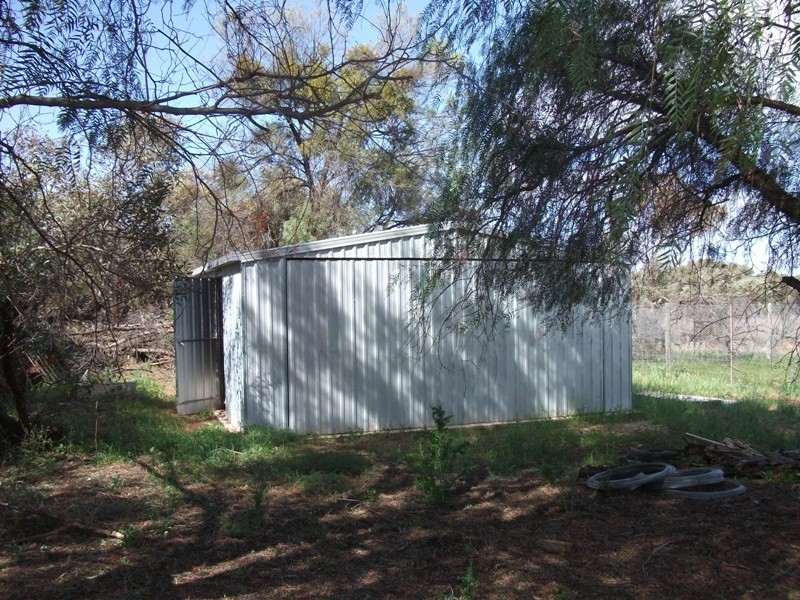 503 Caddy Road, Loveday SA 5345