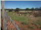 503 Caddy Road, Loveday SA 5345