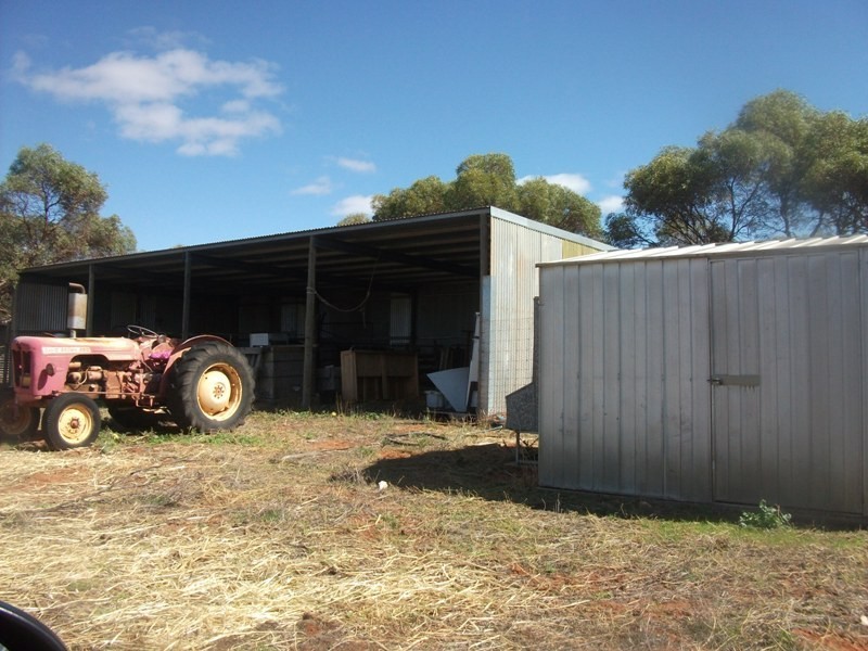 503 Caddy Road, Loveday SA 5345