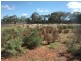 503 Caddy Road, Loveday SA 5345