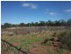 503 Caddy Road, Loveday SA 5345
