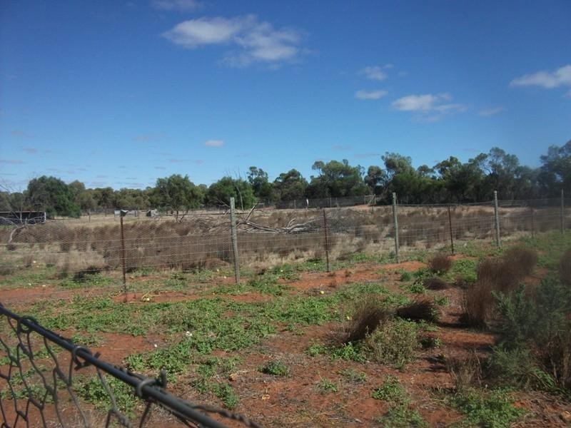 503 Caddy Road, Loveday SA 5345