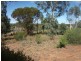 503 Caddy Road, Loveday SA 5345