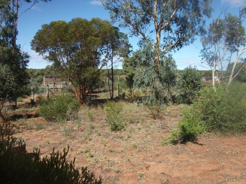503 Caddy Road, Loveday SA 5345