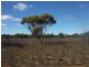 503 Caddy Road, Loveday SA 5345
