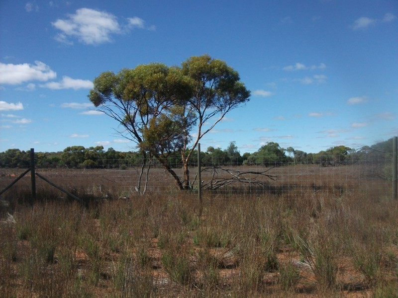 503 Caddy Road, Loveday SA 5345