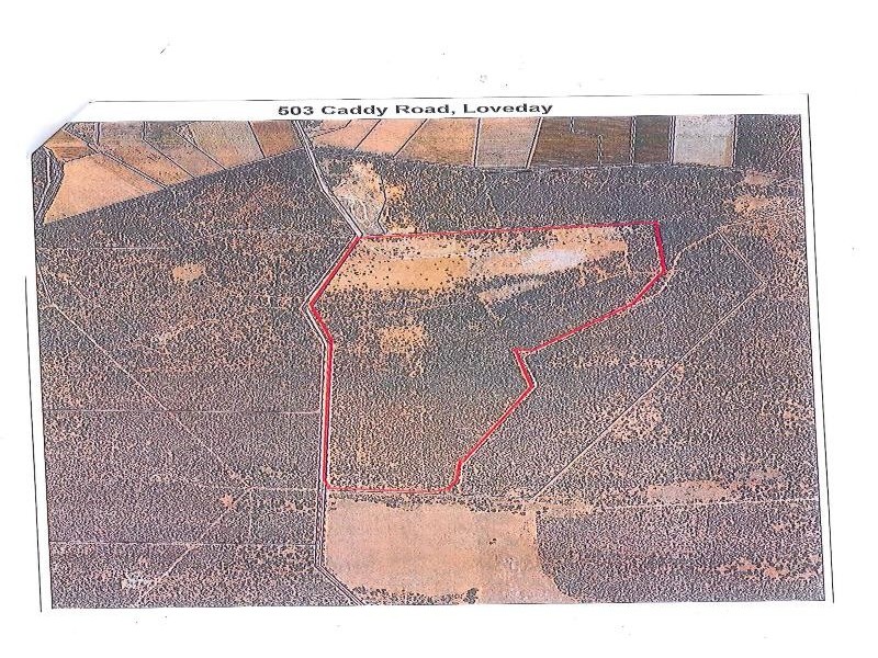 503 Caddy Road, Loveday SA 5345