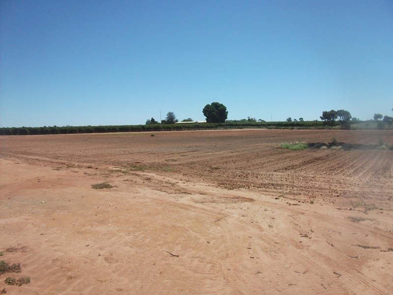 Section 105 DeFontenay Road, Barmera SA 5345