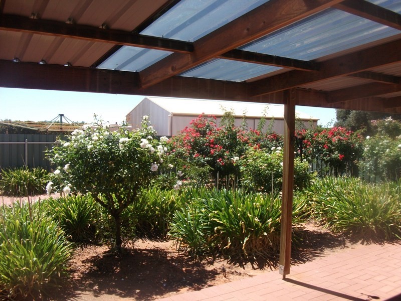 213 Old Sturt Highway, Barmera SA 5345