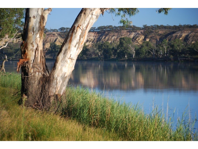 15349 Sturt Highway, Kingston On Murray SA 5331