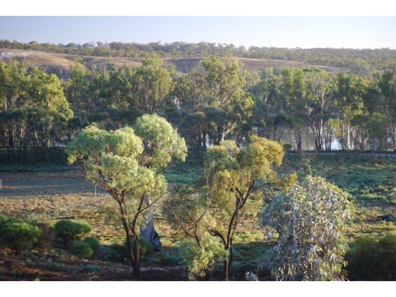 15349 Sturt Highway, Kingston On Murray SA 5331