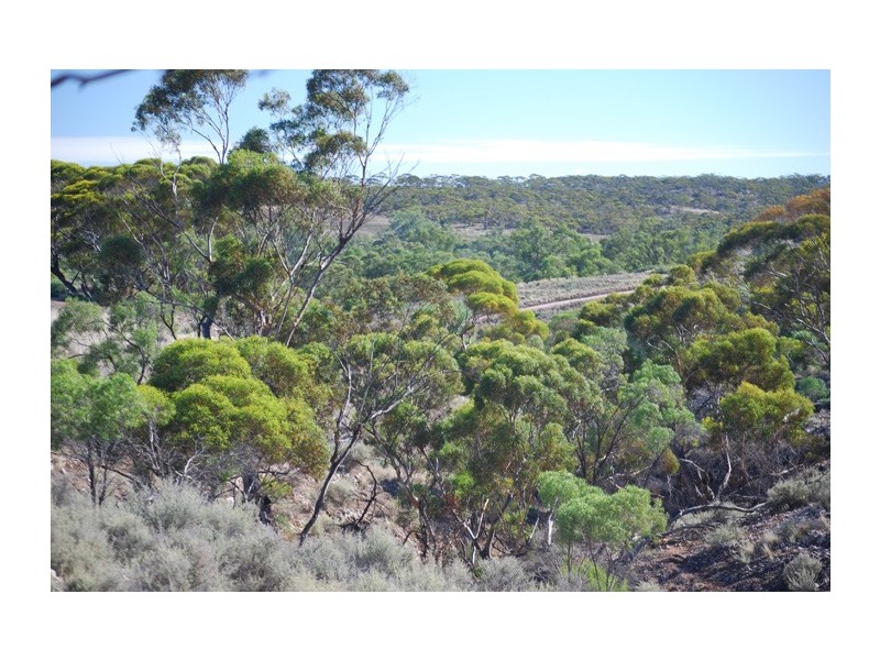 15349 Sturt Highway, Kingston On Murray SA 5331