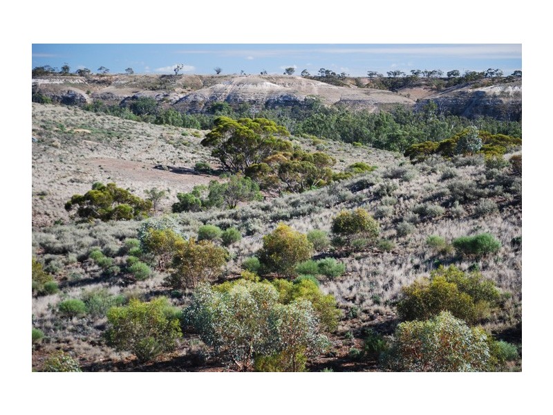 15349 Sturt Highway, Kingston On Murray SA 5331