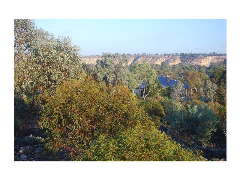 15349 Sturt Highway, Kingston On Murray SA 5331