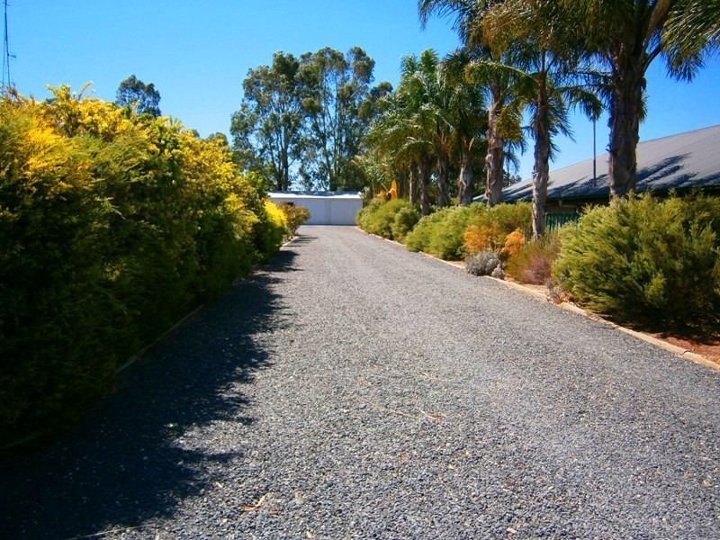 218 Medley Road, Waikerie SA 5330