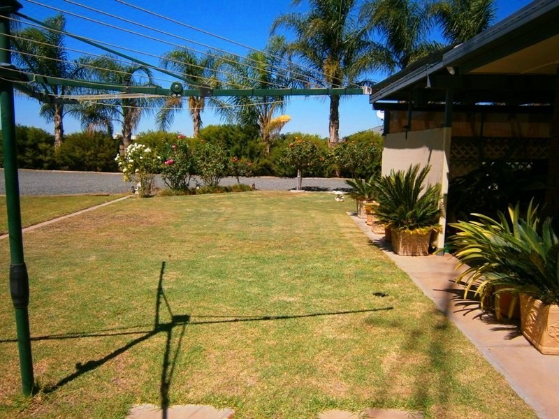 218 Medley Road, Waikerie SA 5330