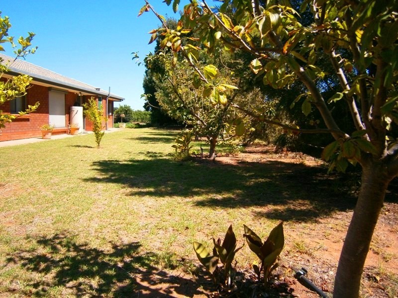 218 Medley Road, Waikerie SA 5330