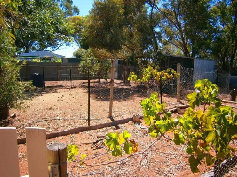 218 Medley Road, Waikerie SA 5330