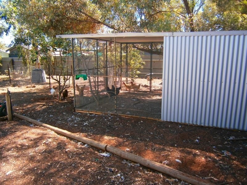 218 Medley Road, Waikerie SA 5330