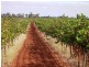 - Cnr French and Balfour Ogilvy Road, Loxton North SA 5333