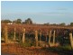 - Cnr French and Balfour Ogilvy Road, Loxton North SA 5333