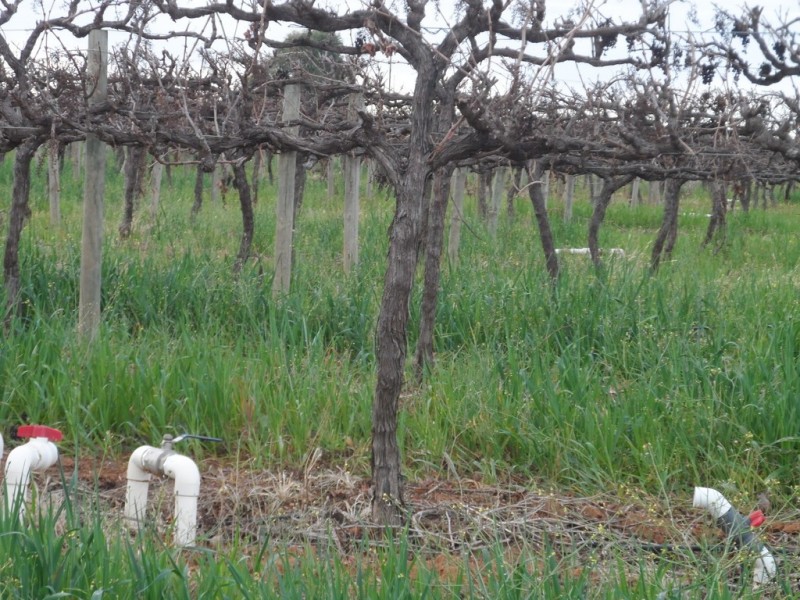 - Cnr French and Balfour Ogilvy Road, Loxton North SA 5333