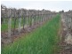 - Cnr French and Balfour Ogilvy Road, Loxton North SA 5333
