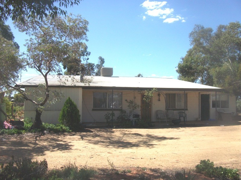 319 Caddy Road, Loveday SA 5345