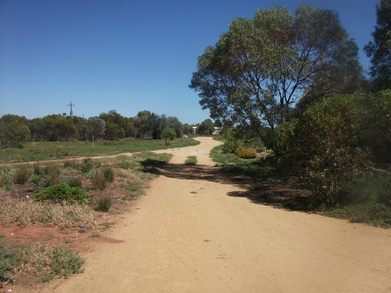 319 Caddy Road, Loveday SA 5345