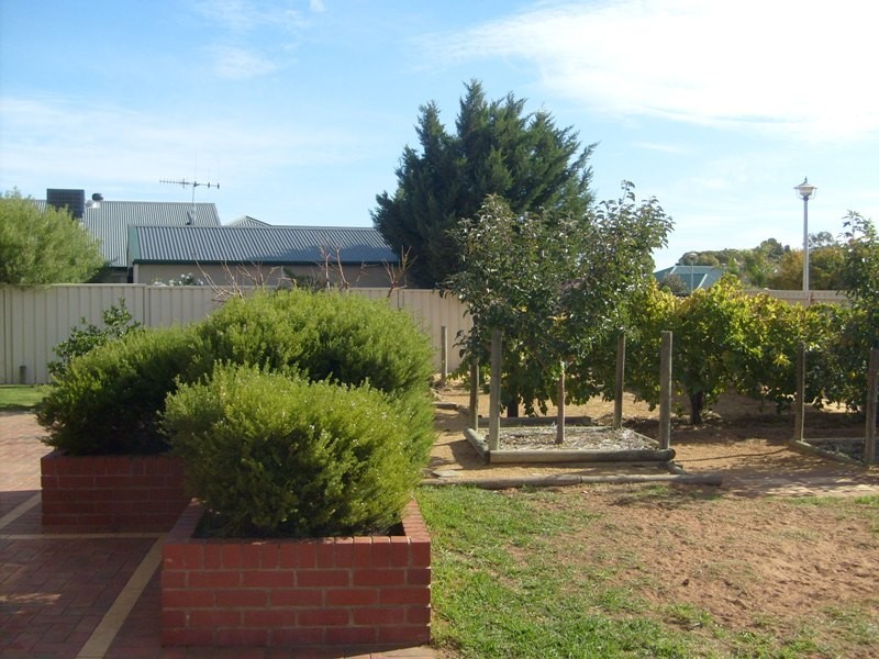 6 Halliday Court, Berri SA 5343