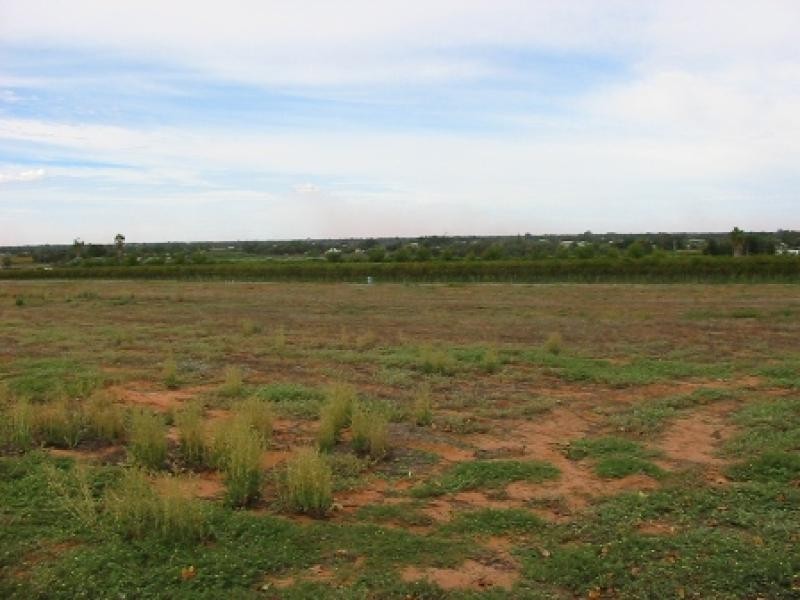 Lot 63 Tarcoola Street, Renmark SA 5341