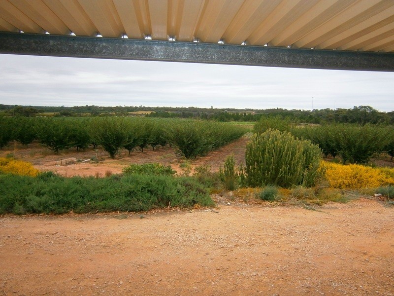 307 Cadell Valley Road, Cadell SA 5321