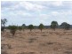 Lot 20 Mackay Road, Blanchetown SA 5357