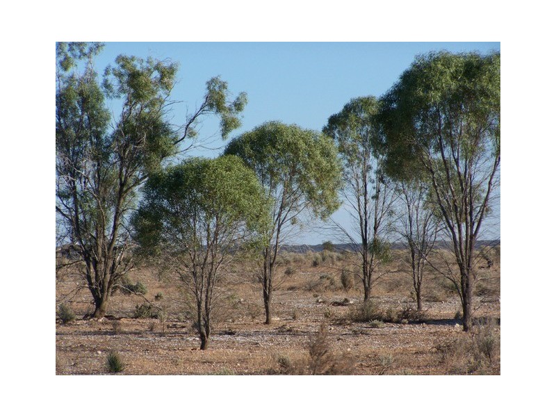 Lot 20 Mackay Road, Blanchetown SA 5357
