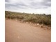 Lot 20 Mackay Road, Blanchetown SA 5357