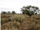 Lot 20 Mackay Road, Blanchetown SA 5357