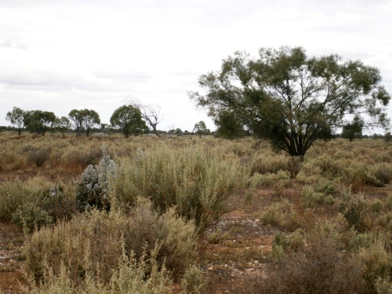 Lot 20 Mackay Road, Blanchetown SA 5357