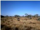 Lot 20 Mackay Road, Blanchetown SA 5357