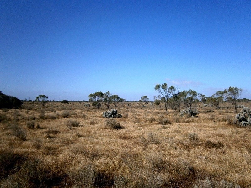 Lot 20 Mackay Road, Blanchetown SA 5357