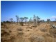 Lot 20 Mackay Road, Blanchetown SA 5357