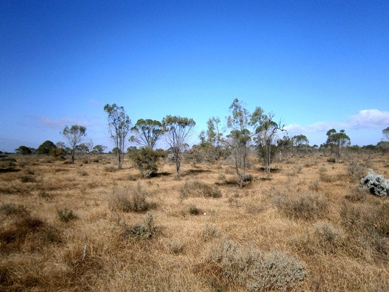 Lot 20 Mackay Road, Blanchetown SA 5357