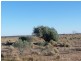 Lot 20 Mackay Road, Blanchetown SA 5357