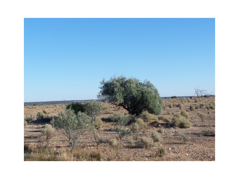 Lot 20 Mackay Road, Blanchetown SA 5357
