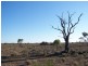 Lot 20 Mackay Road, Blanchetown SA 5357