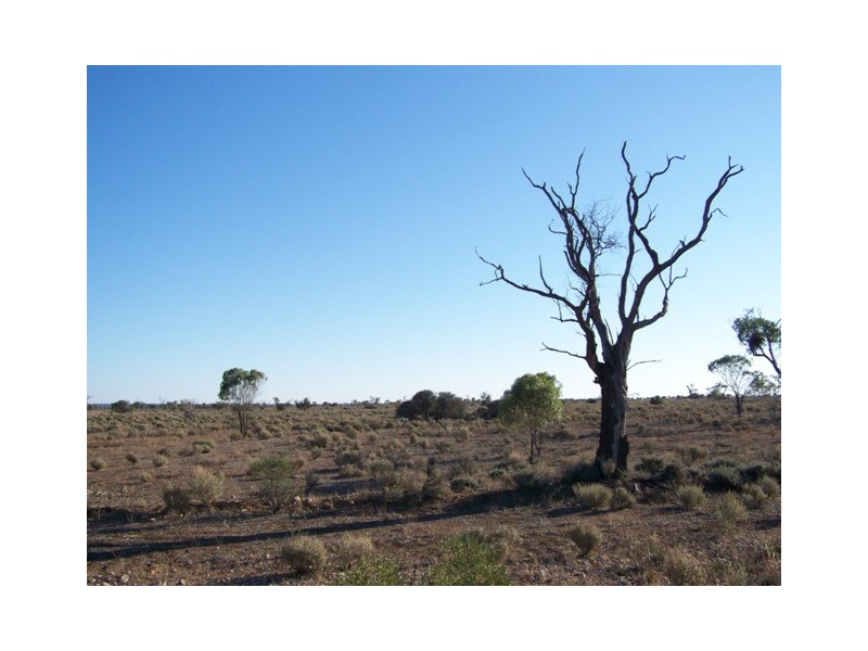Lot 20 Mackay Road, Blanchetown SA 5357