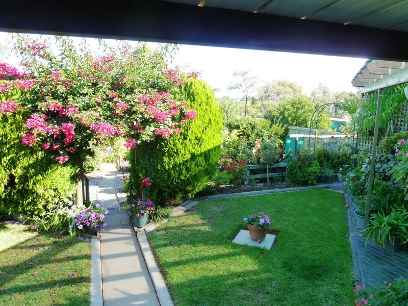 260 Alamein Avenue, Loxton North SA 5333